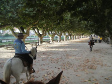 Spain-Galicia-Portuguese Route on St James Way